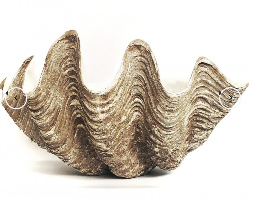 Giant Faux Clam Available On PRE ORDER